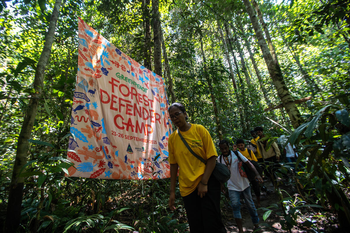The 2nd Forest Defender Camp 2025 in Papua Day 1. © Jurnasyanto Sukarno / Greenpeace