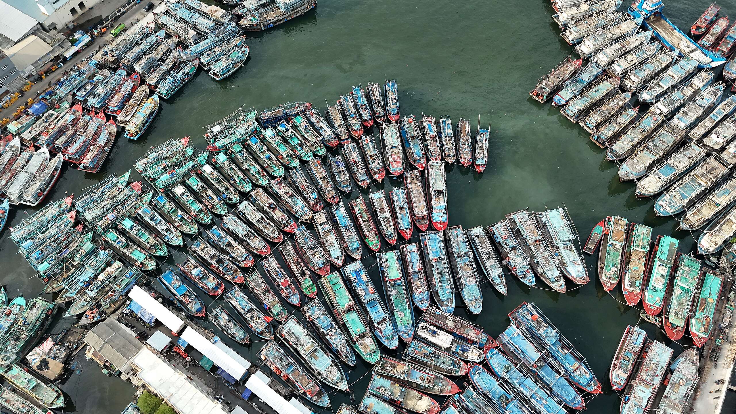 Dugaan Kerja Paksa dalam Rantai Pasok Tuna RI-Australia Terungkap, Ratifikasi ILO K-188 Makin Mendesak