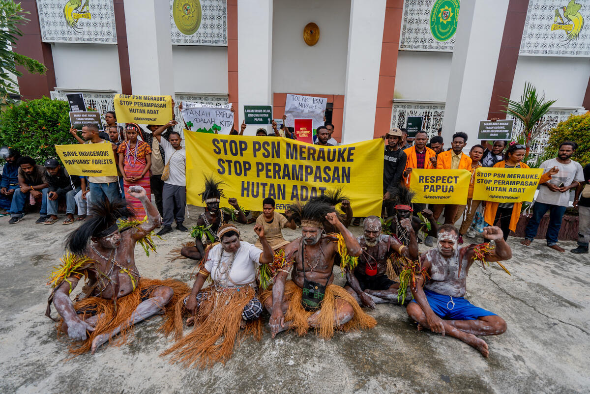 Lawsuit Filed by Malind Indigenous Community PSN-Affected in Jayapura.