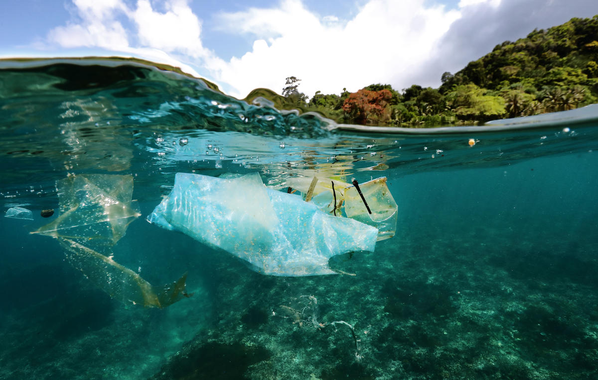 Plastic Pollution in the Sea off Bangkaru Island, Sumatra Plastic debris in the sea off the beach on Bangkaru Island, Sumatra,
