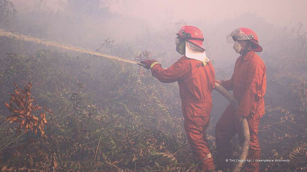 Tim Cegah Api melakukan pemadaman api di Kubu raya, Kalimantan Barat, Agustus 2026
