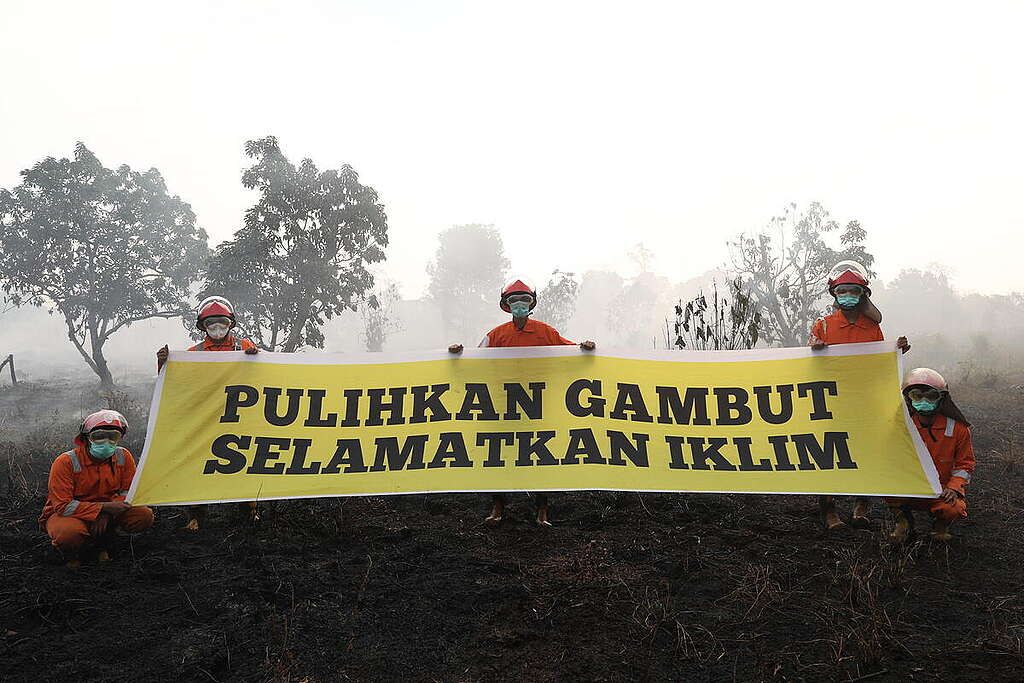 Members of Greenpeace Indonesia’s Tim Cegah Api (Fire Prevention Team) hold up a banner reading “Belum Merdeka dari Asap” (“Not Yet Free from Haze”) at a burned peatland site in Sungai Raya Dalam, Kubu Raya Regency, West Kalimantan, Indonesia.