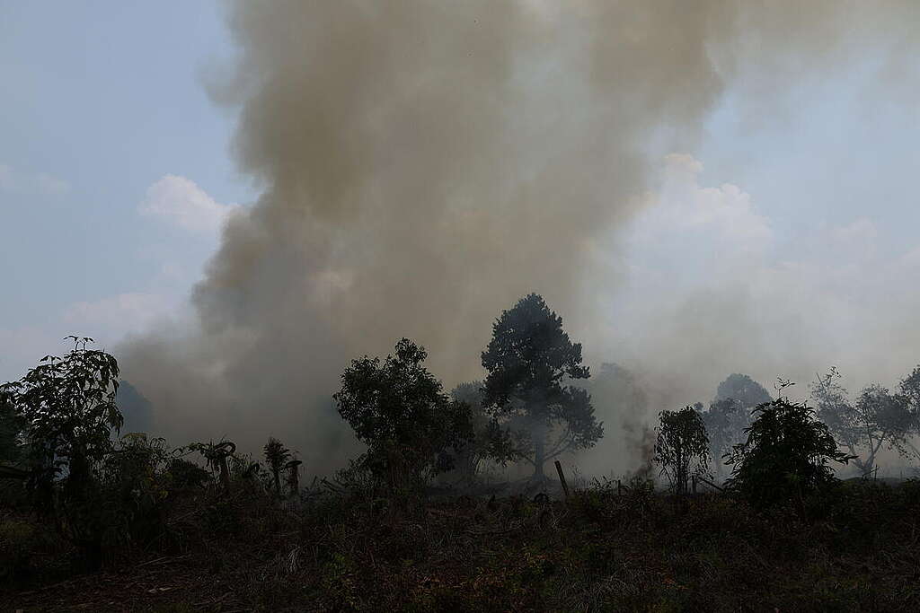 Forest and peatland fires in Sungai Raya Dalam, Kubu Raya Regency, West Kalimantan, Indonesia.