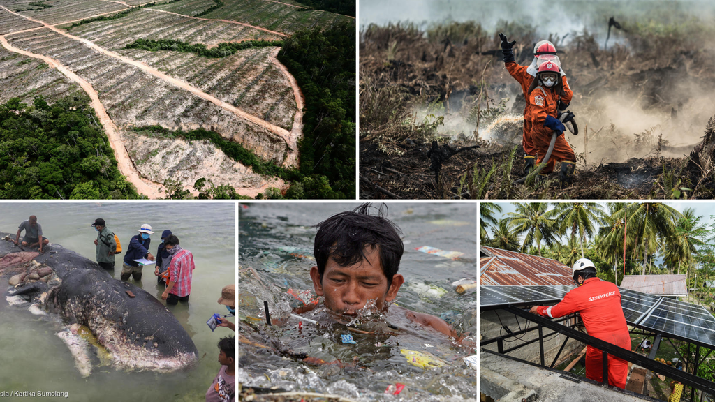 Dukunganmu sangat penting dalam perjuangan mendorong solusi atas krisis iklim. Berdonasilah hari ini.
