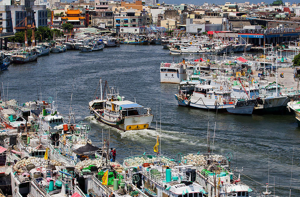 Tuna Festival in Taiwan. © Paul Hilton / Greenpeace