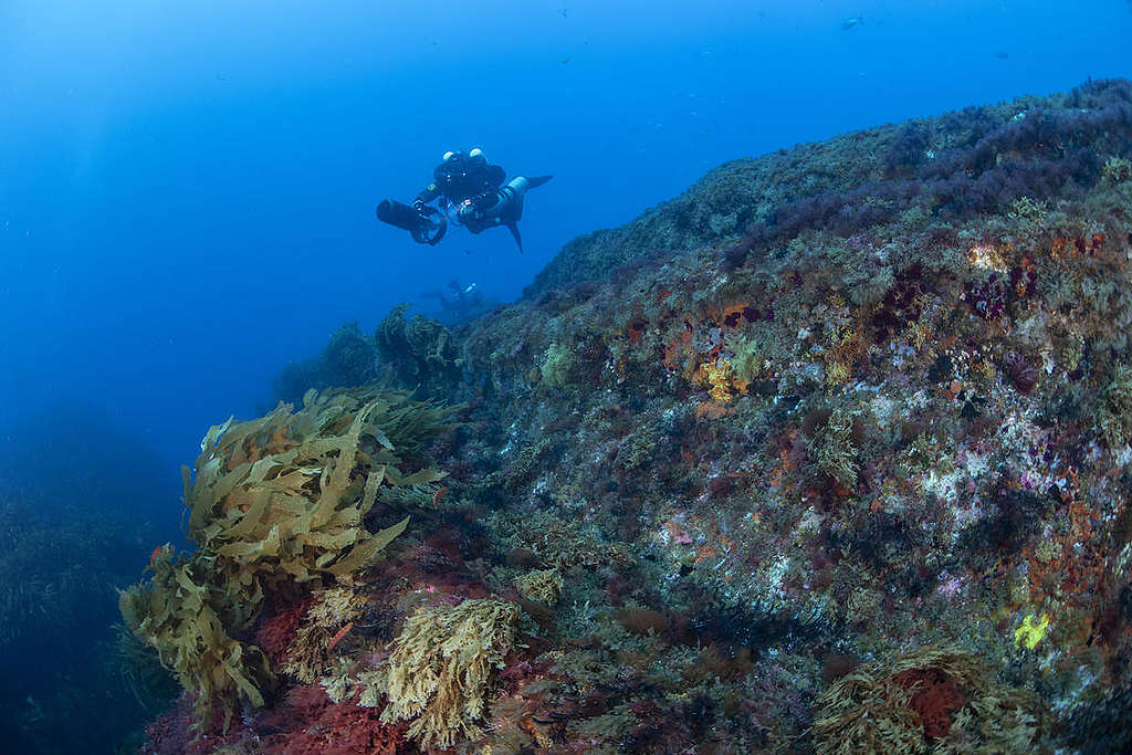 Diving Operation at Vema Seamount. © Richard Barnden / Greenpeace