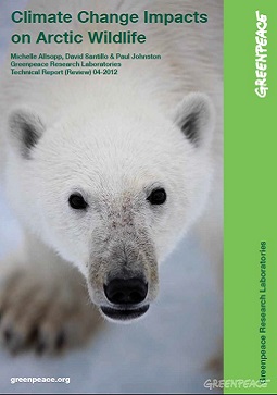 Climate Change Impacts on Arctic Wildlife - Greenpeace International