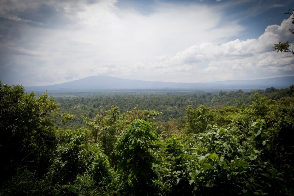 Virunga National Park in DRC © Greenpeace / Jan-Joseph Stok Virunga National Park in DRC © Greenpeace / Jan-Joseph Stok