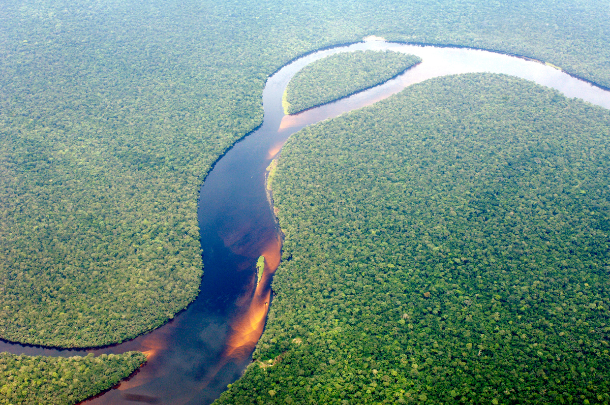 Congo Rainforest © Thomas Einberger / argum / Greenpeace