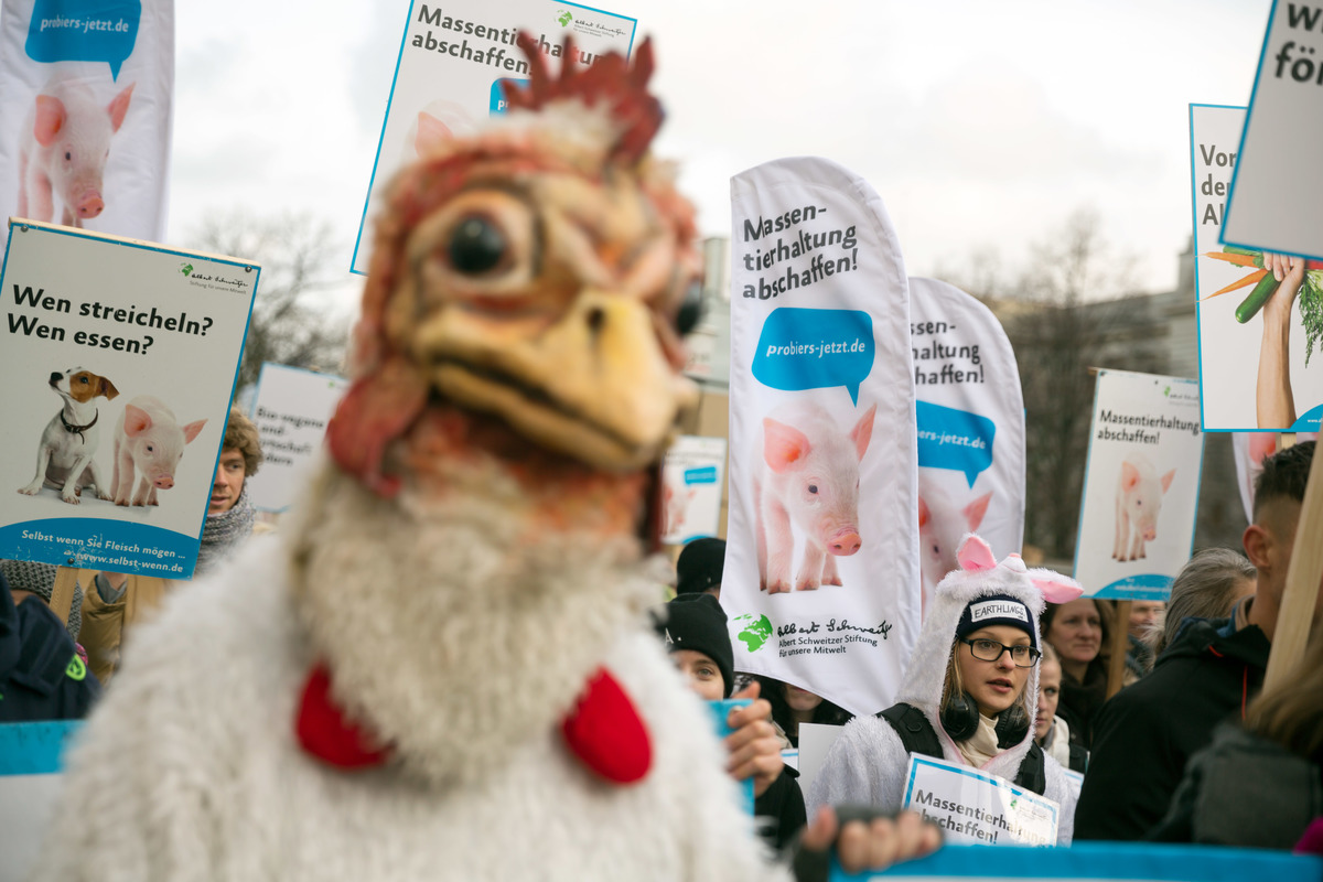 TTIP Demonstration in Berlin © Gordon Welters / Greenpeace