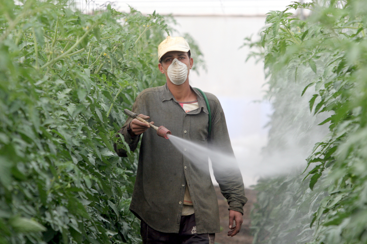 Pesticide Use in Spain © Greenpeace / Ángel Garcia