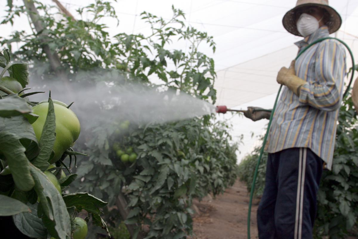 Pesticide Use in Spain © Greenpeace / Ángel Garcia