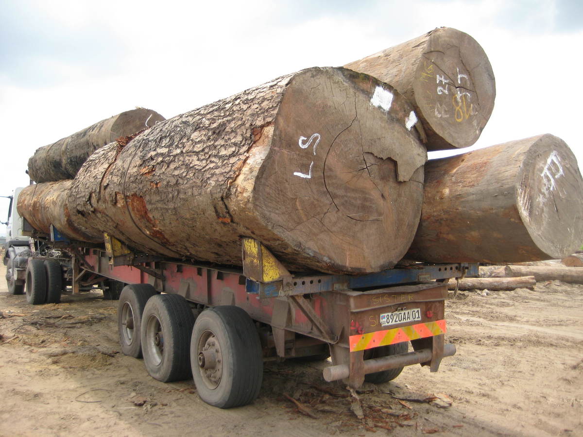Unmarked Timber on Truck in DRC. © Greenpeace