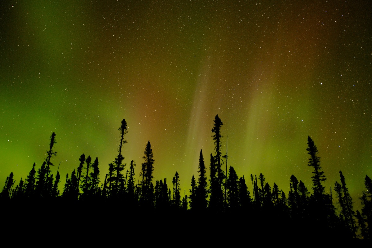 oreal Forest - Montagnes Blanches, Quebec © Markus Mauthe / Greenpeace