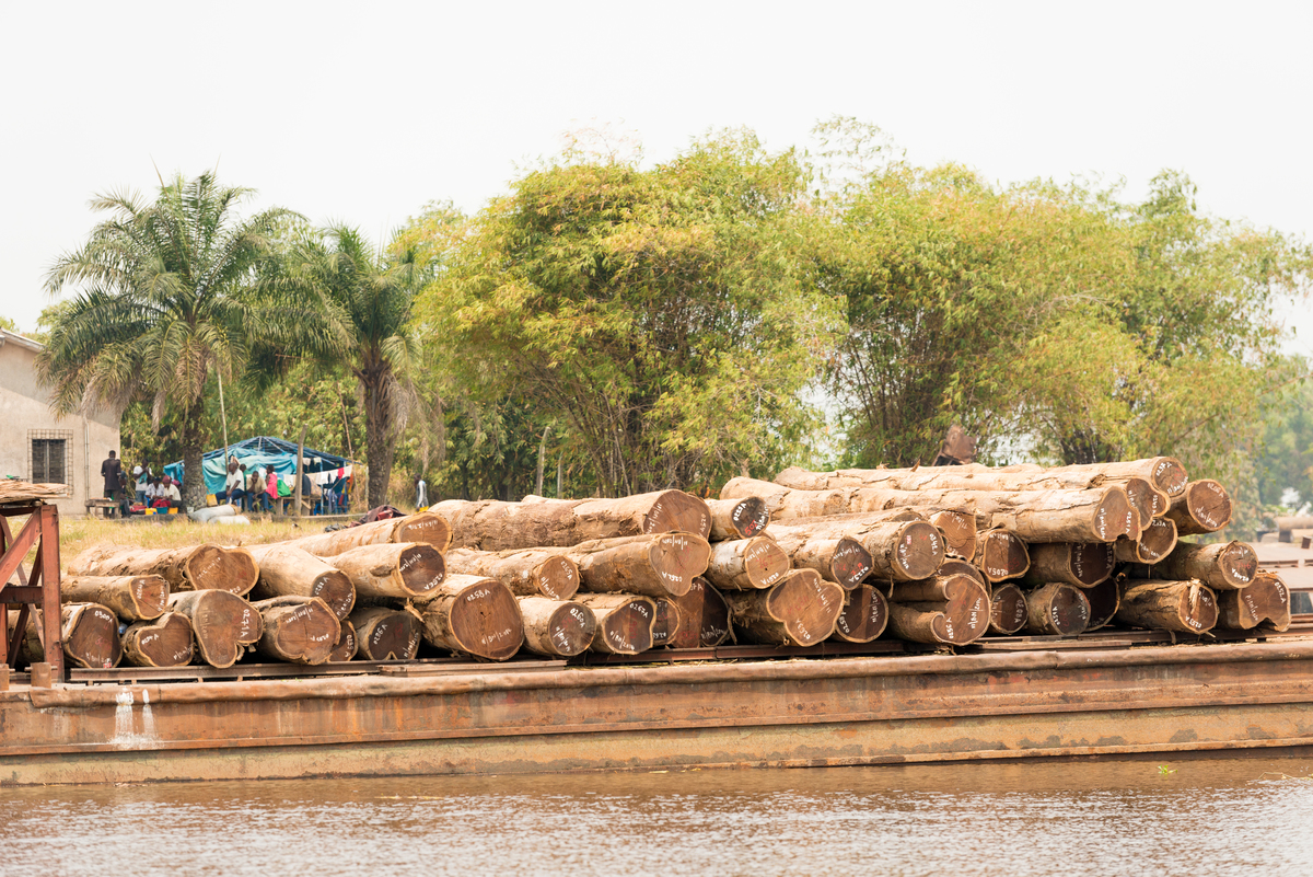 Transportation of Illegal Timber in the DRC. © Clément Tardif / Greenpeace