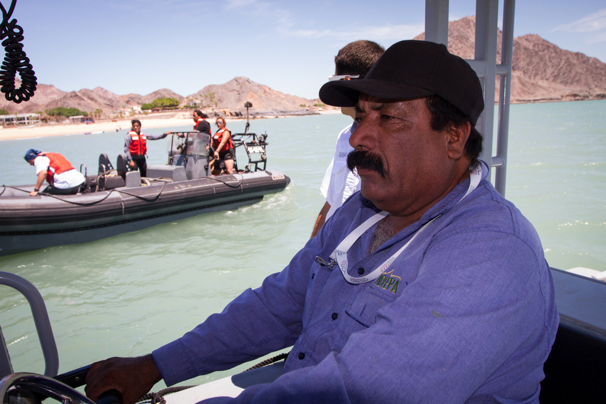 Vaquita Habitat Investigation in Mexico © Carlos Aguilera / Greenpeace
