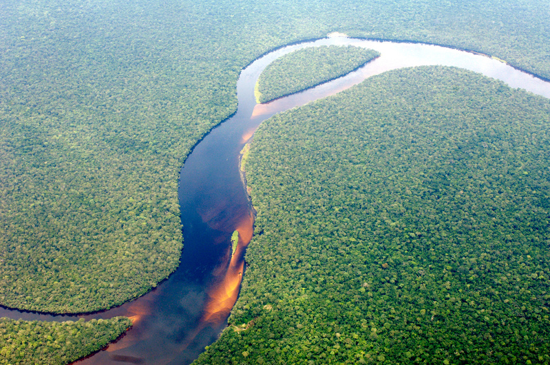 Aerial view of the Congo Basin rainforest © Thomas Einberger / argum / Greenpeace