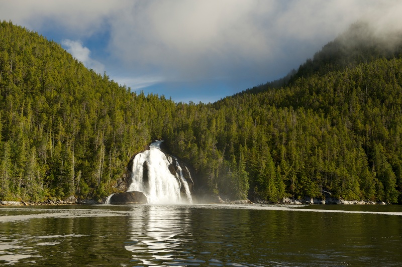 Great Bear Rainforest in Canada. Forest with waterfall © Oliver Salge / Greenpeace