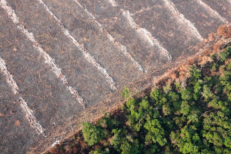 Deforestation in Mato Grosso, Brazil © Paulo Pereira / Greenpeace
