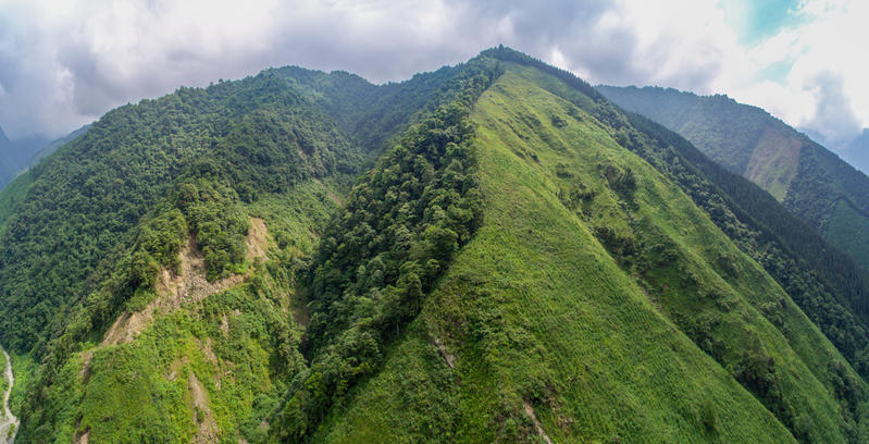 Clearcutting in UNESCO Sichuan Giant Panda Sanctuaries  © PRphoto / Greenpeace © PRphoto / Greenpeace