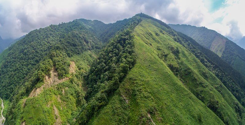 Clearcutting in UNESCO Sichuan Giant Panda Sanctuaries © PRphoto / Greenpeace