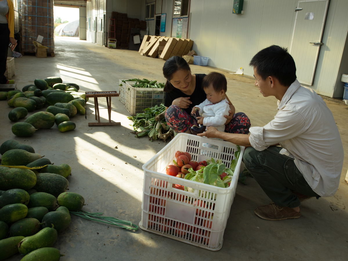 Shared Harvest Organic Farm © Peter Caton