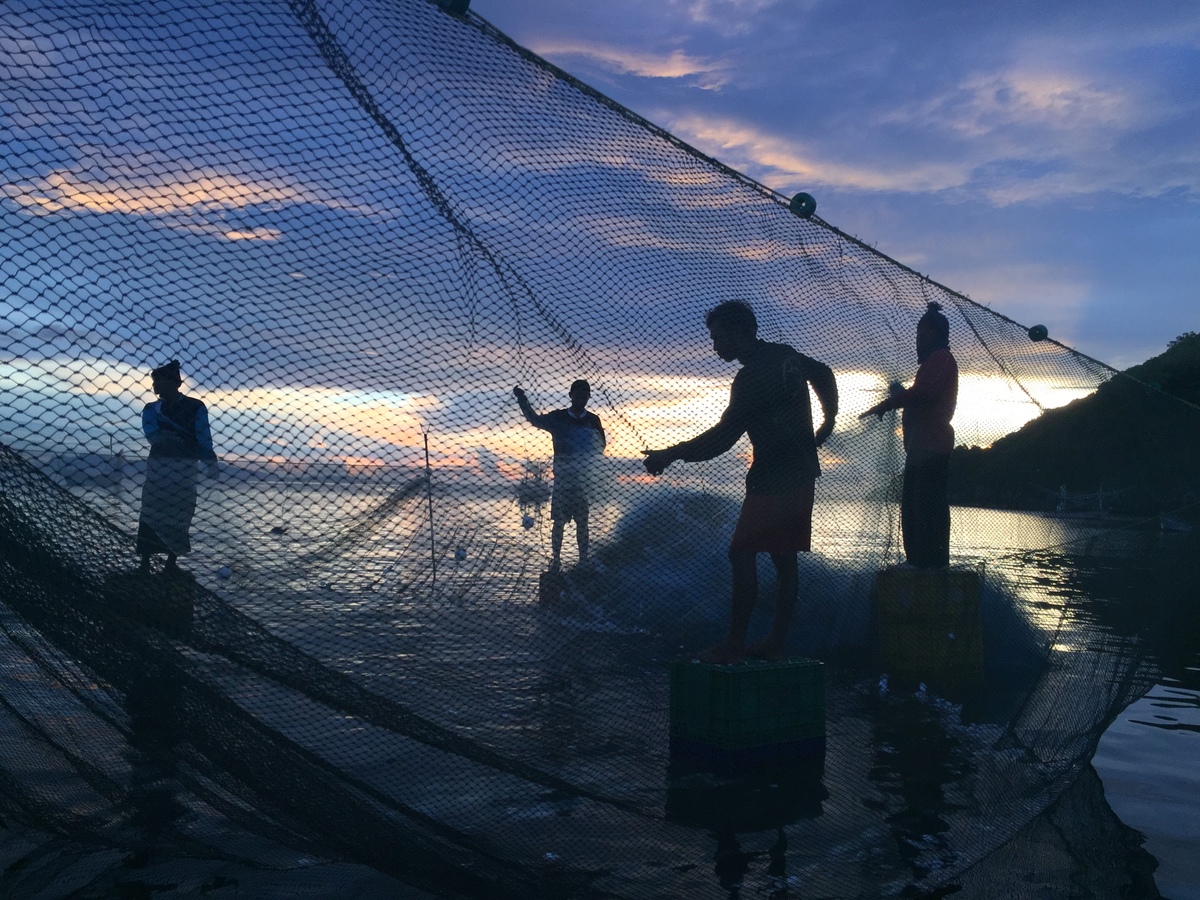 Local Fishermen Choose Sustainable Fishing Practices in Thailand © Biel Calderon / Greenpeace