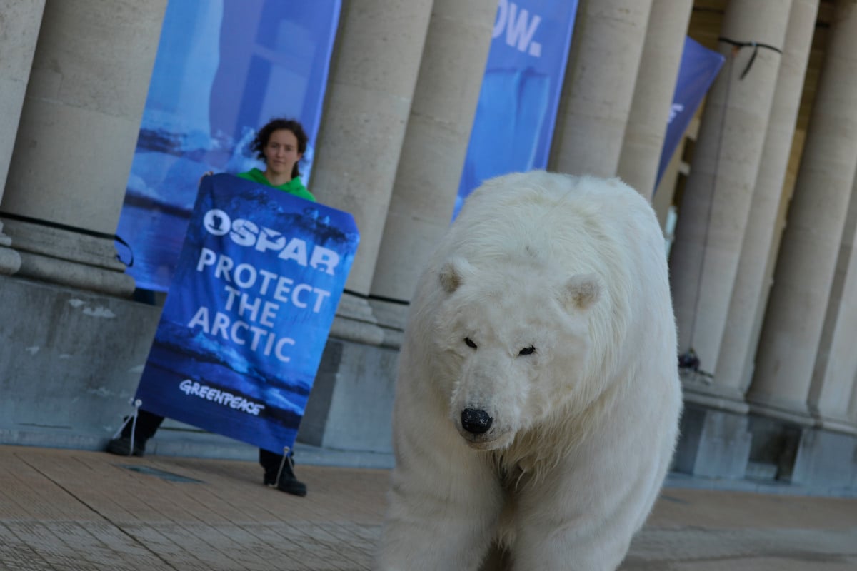  Polar Bear at OSPAR Meeting in Ostend © Pedro Armestre / Greenpeace