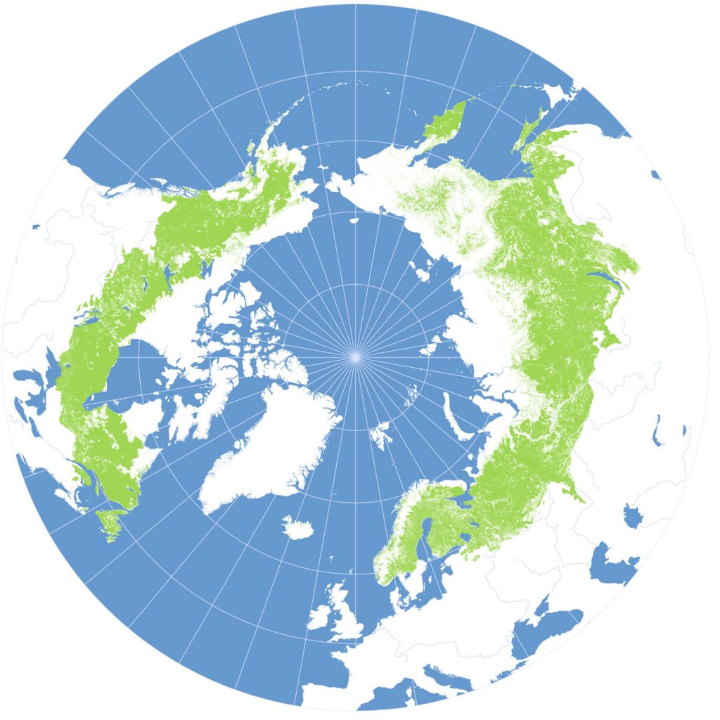 Map of the Great Northern Forest 