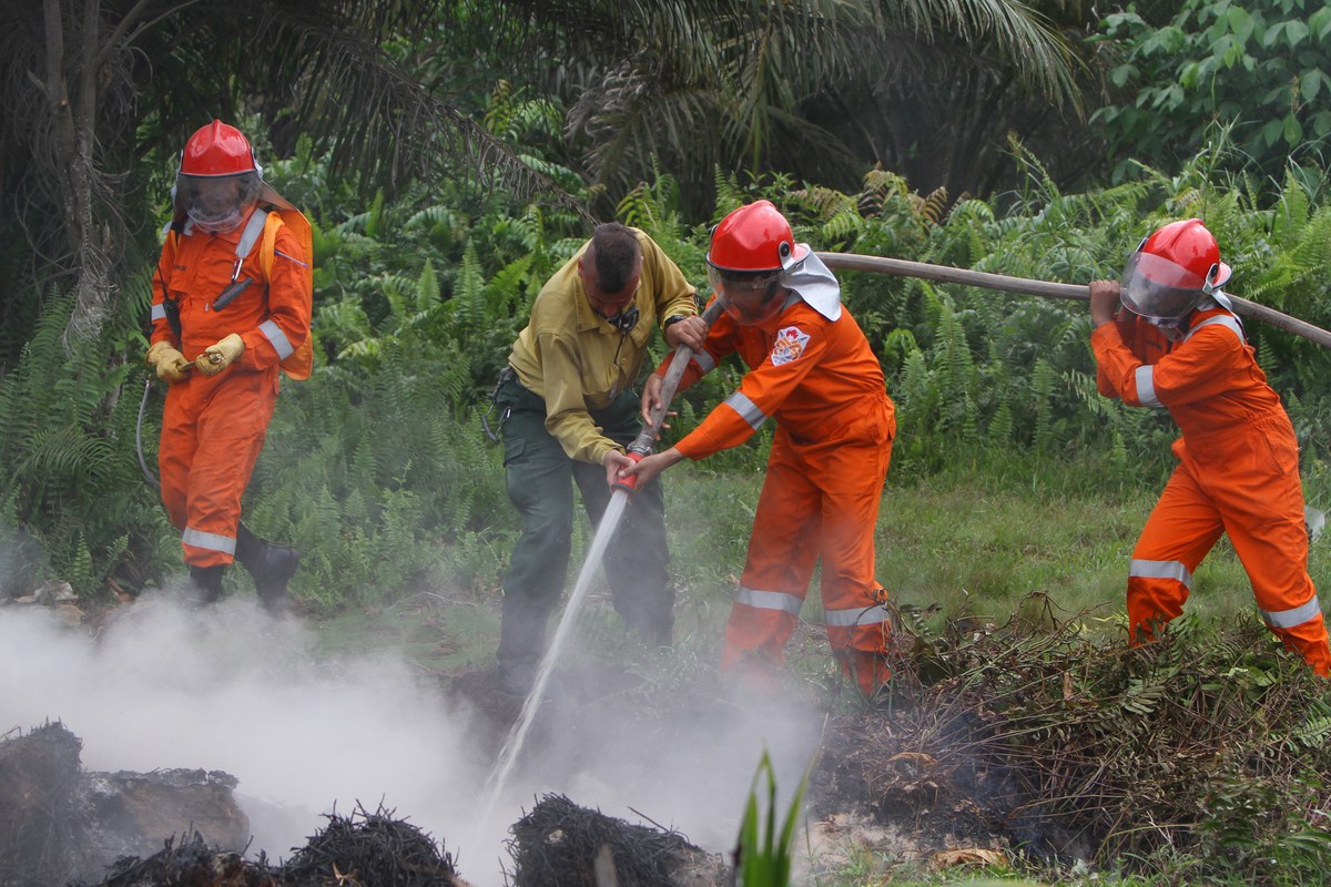 Training of Forest Fire Prevention (FFP) Team in Riau. © Afriadi Hikmal / Greenpeace Greenpeace Forest Fire Prevention Training in Indonesia. © Afriadi Hikmal / Greenpeace
