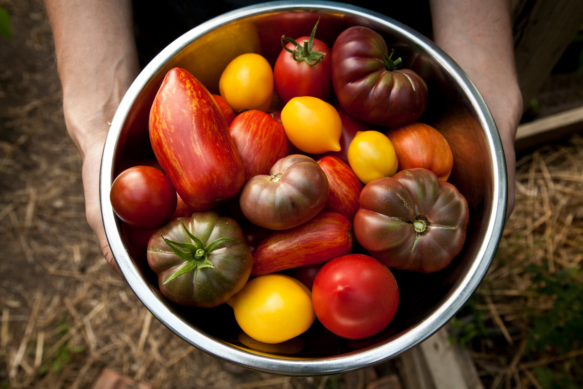 Produce from an Ecological Farm in Bulgaria © Ivan Donchev / Greenpeace