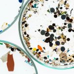 Studio shoot of microplastics from water samples taken by manta trawl (mesh size: 300µm ) in different German rivers onboard the Beluga II (period: April—June 2016).