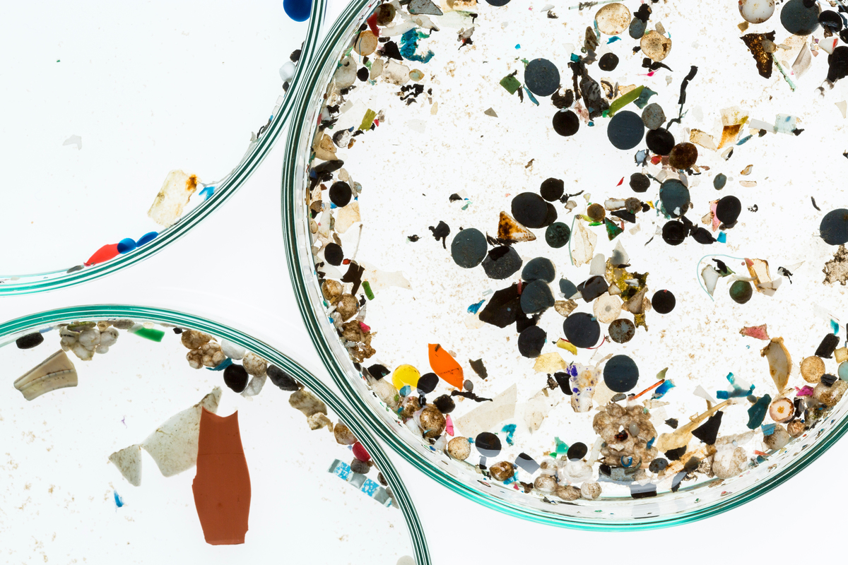 Microplastics from German Rivers © Fred Dott / Greenpeace