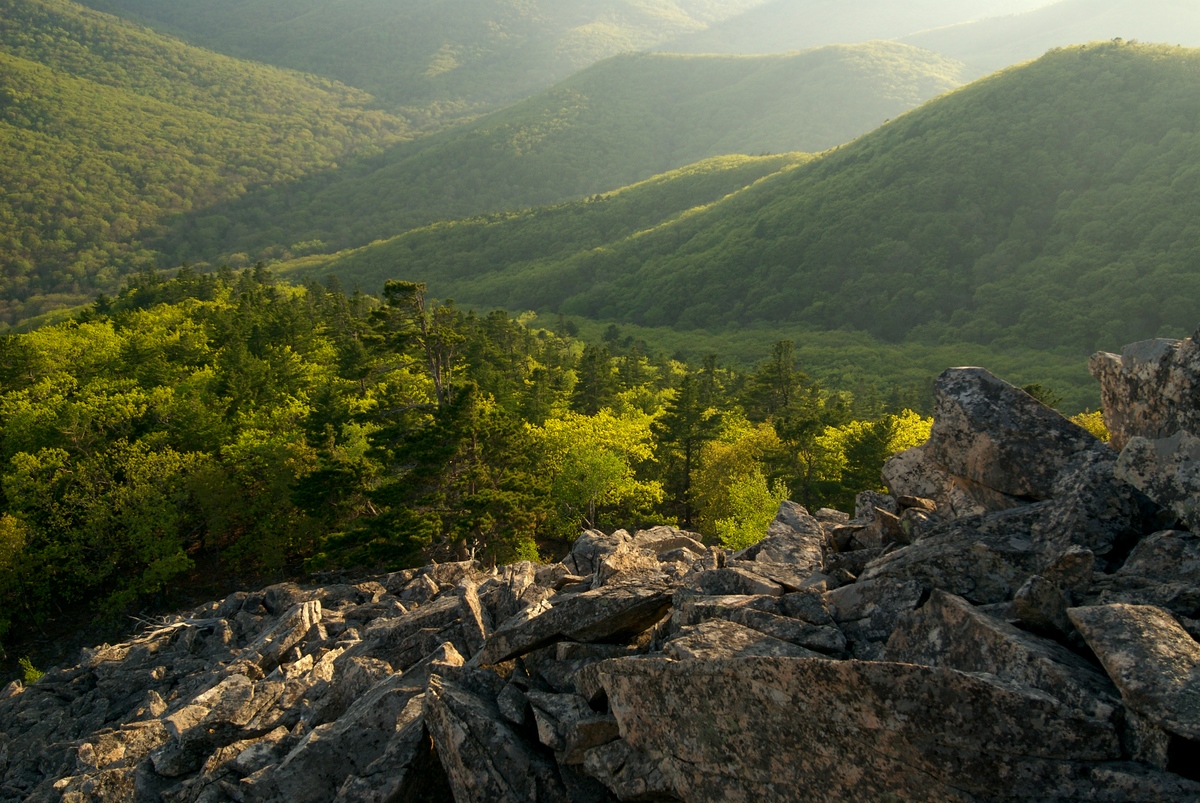 Lazorskiy Reserve in Siberia © Markus Mauthe / Greenpeace