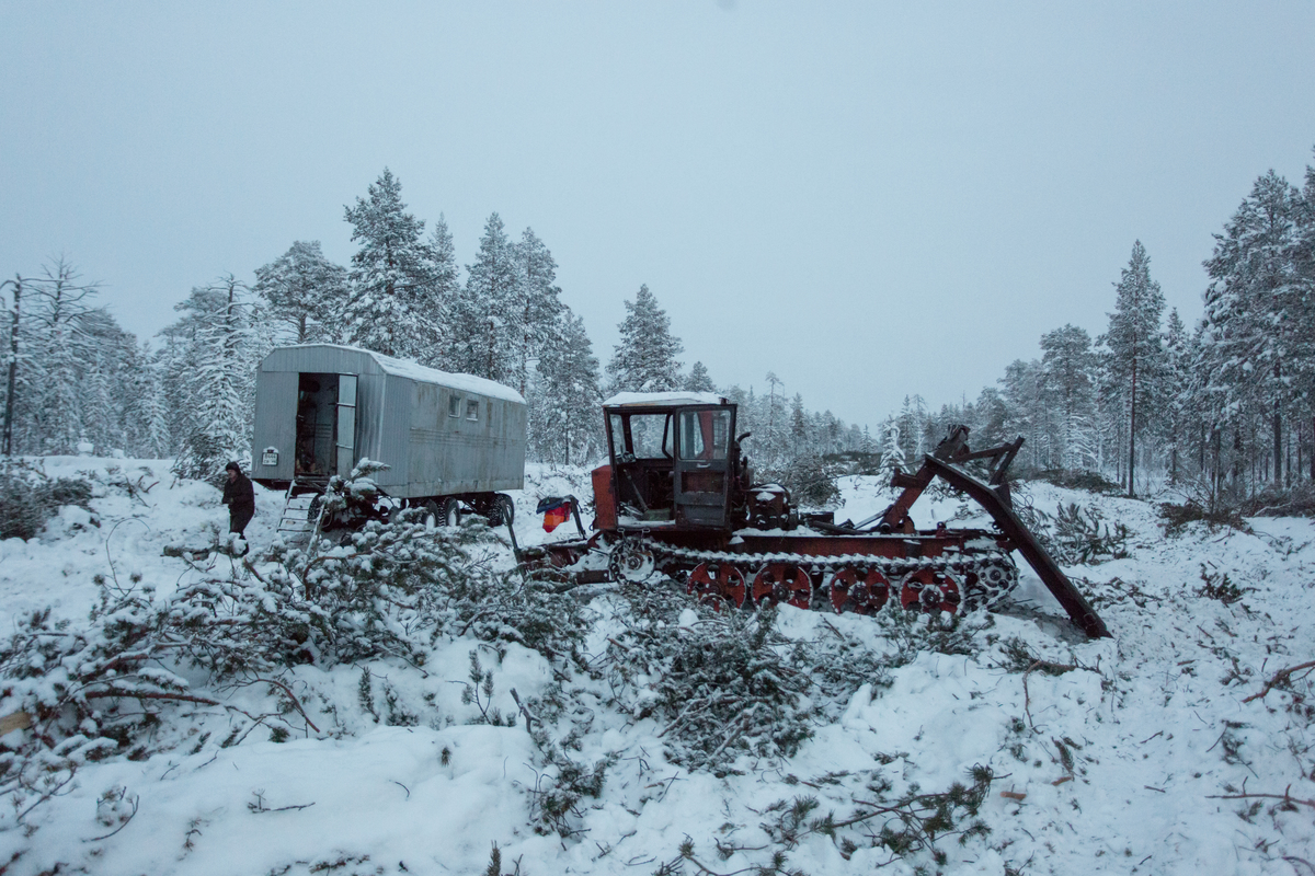 Road Construction on Indigenous Ancestral Land in Russia © Alexey Andronov / Greenpeace