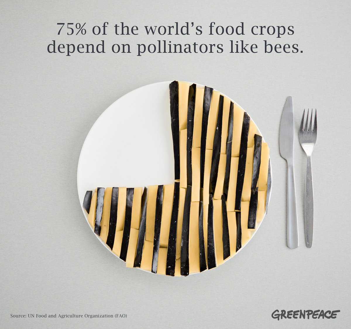Three Quarters of Our Food Depend on Bees & Pollinators © Mitja Kobal / Greenpeace