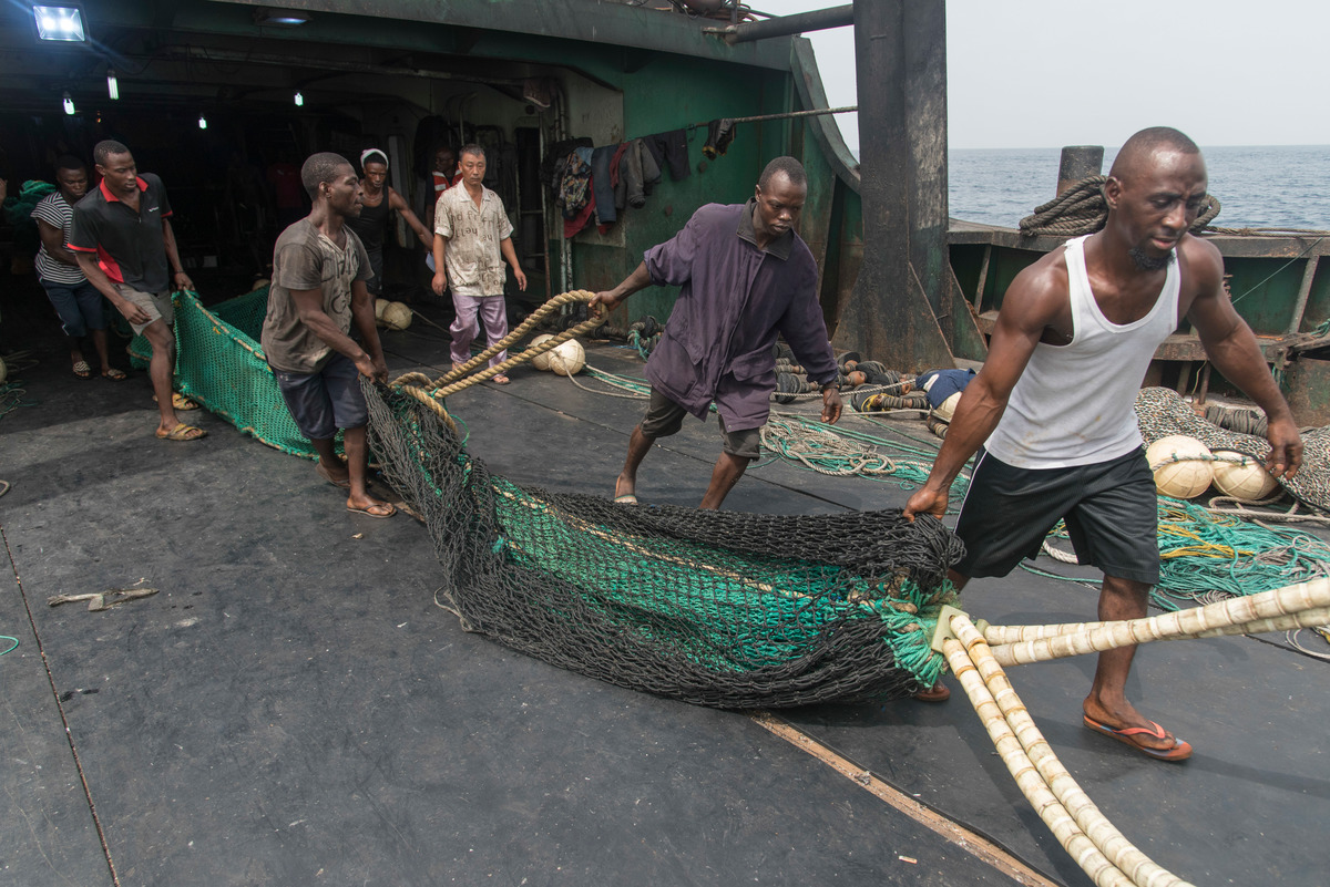 Inspection of Chinese Fishing Vessel in Sierra Leone © Pierre Gleizes / Greenpeace