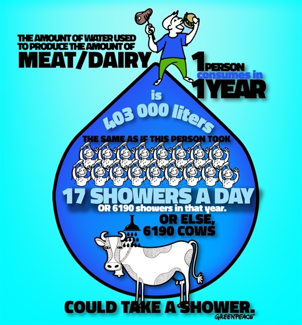 The amountof water used to produce the amount of meat/dairy 1 person consumes in 1 year is 403,000 litres. © Greenpeace