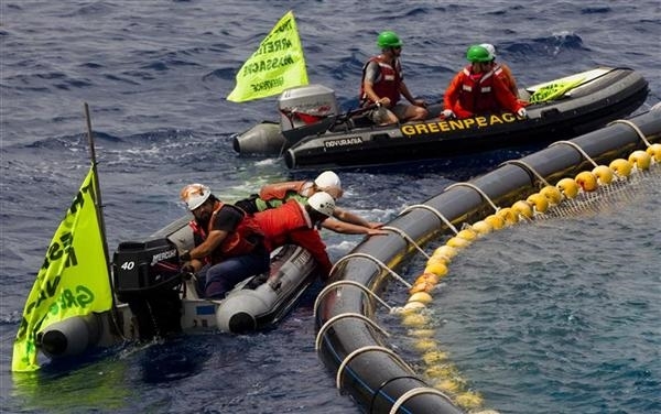 Greenpeace activists attempt to free Bluefin tuna from a net in the Mediterranean. 13 Jun, 2010 © Paul Hilton / Greenpeace