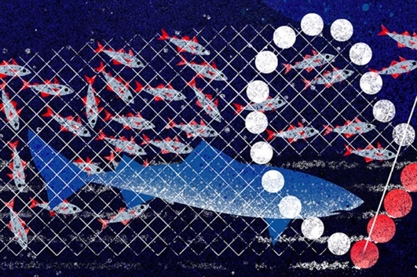 Bycatch. Image Credit: Eve Lloyd Knight