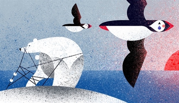 Plastic pollution and polar bear. Image Credit: Eve Lloyd Knight