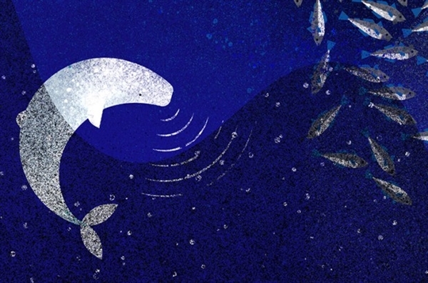 Noise pollution. Image Credit: Eve Lloyd Knight