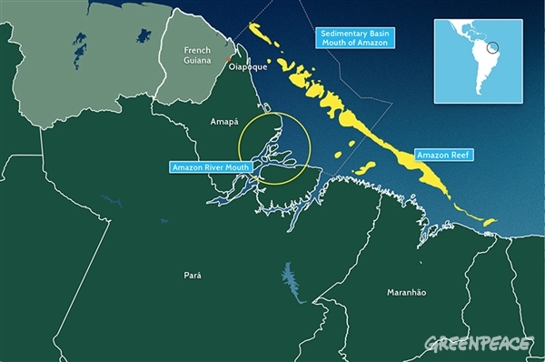 The Amazon Reef Brazil S Newly Discovered And Already Threatened Treasure Greenpeace International