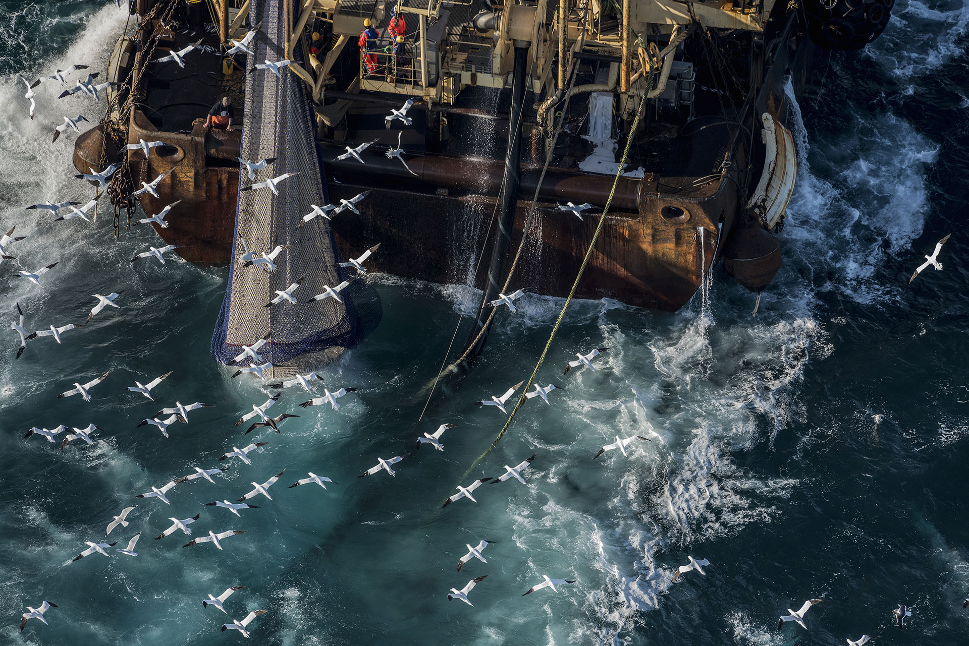 Fishing Activities in the English Channel © Christian Åslund / Greenpeace