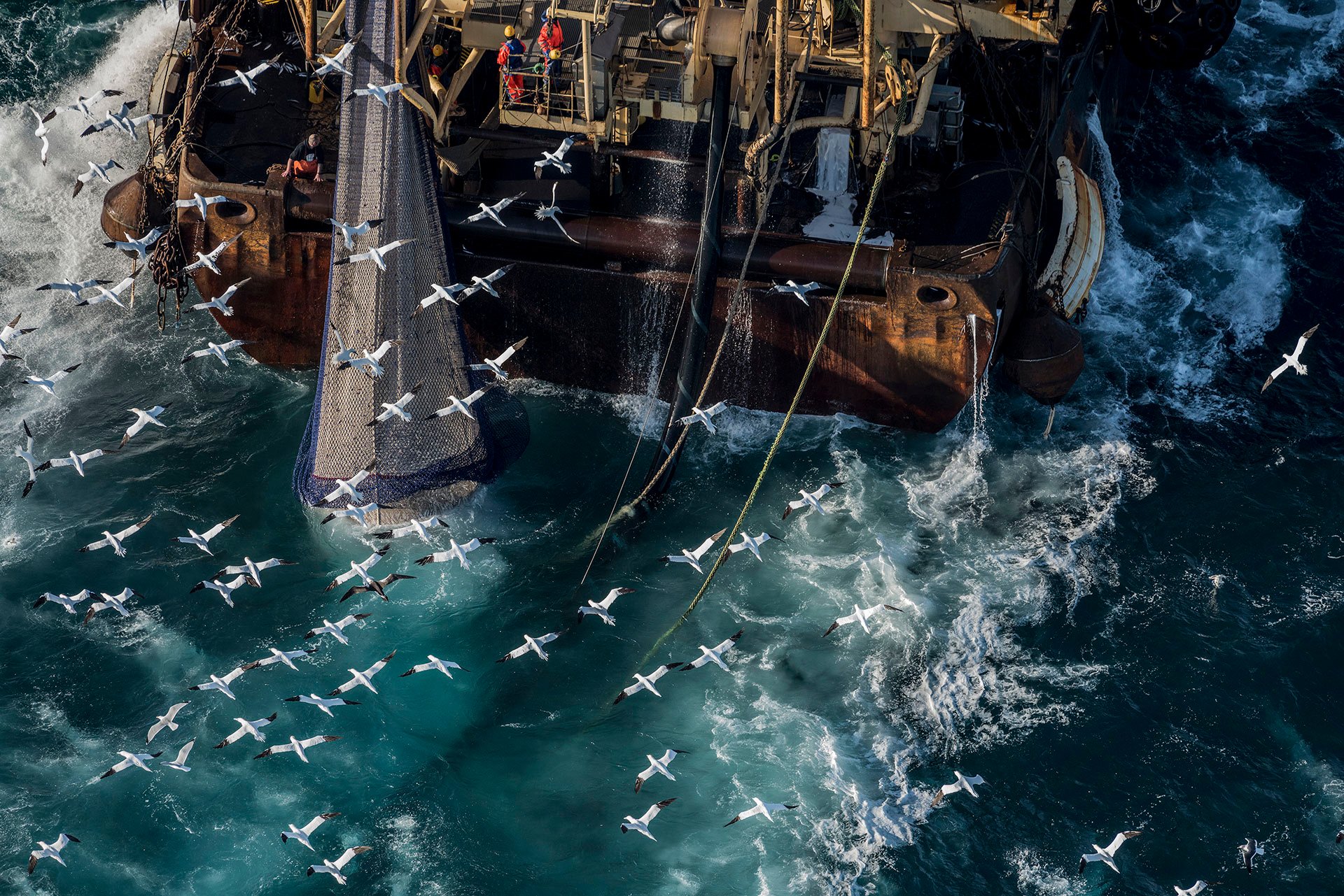 Fishing Activities in the English Channel © Christian Åslund / Greenpeace