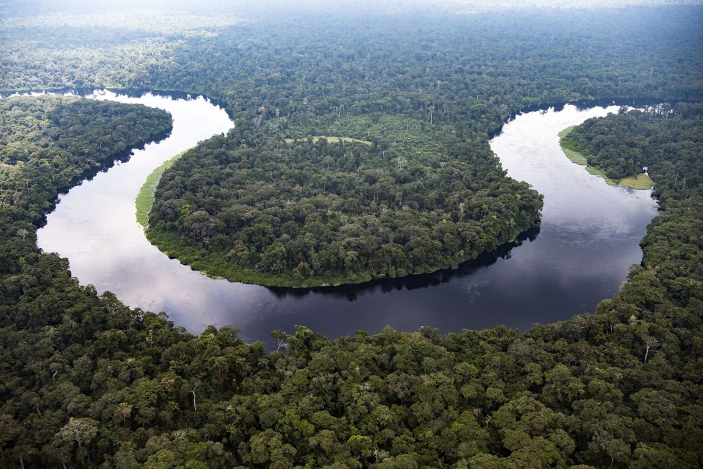 Monboyo River and Peatland Forest in DRC © Daniel Beltrá / Greenpeace