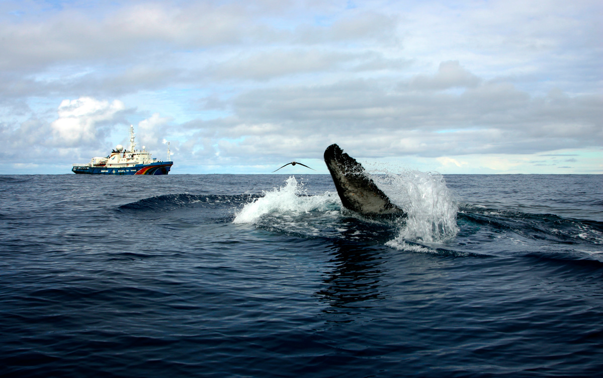 Humpback Whale near the Esperanza in Antarctica © Greenpeace / Jiri Rezac