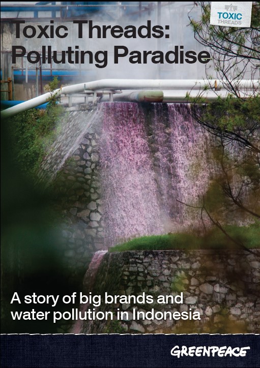 Toxic Threads: Polluting Paradise