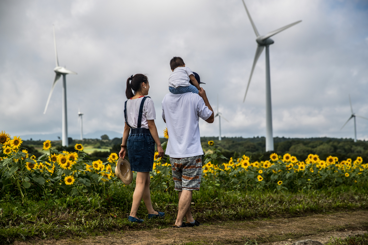 Wind Farm in Fukushima. © Guillaume Bression / Greenpeace Wind Farm in Fukushima © Guillaume Bression / Greenpeace