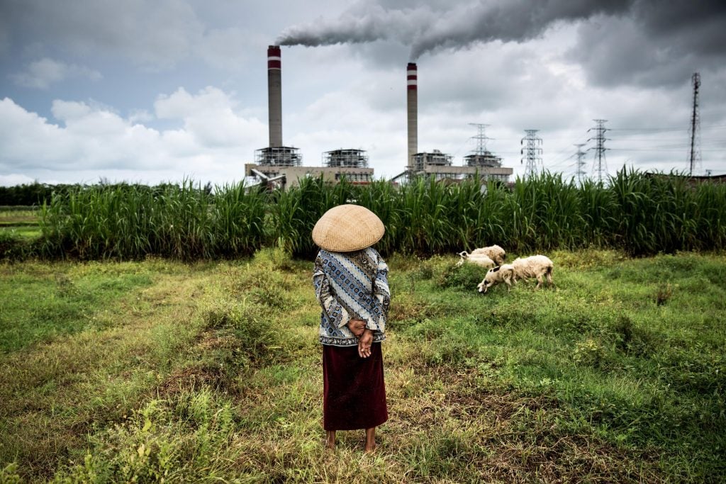 Herder and Sheep in Central Java. © Kemal Jufri / Greenpeace